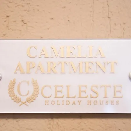Relax Camelia