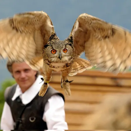 Relax Camelia Локарно